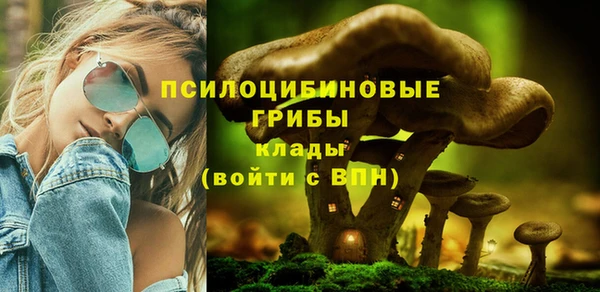 ALPHA PVP Алексеевка