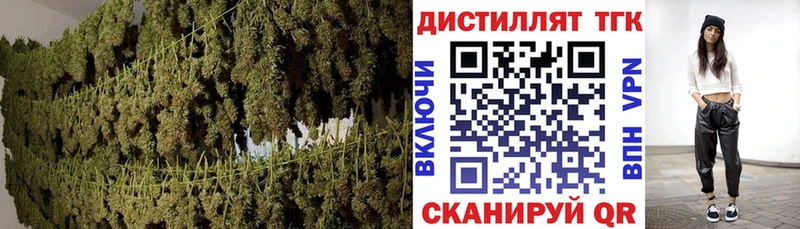 где найти   Чаплыгин  omg маркетплейс  Дистиллят ТГК THC oil 