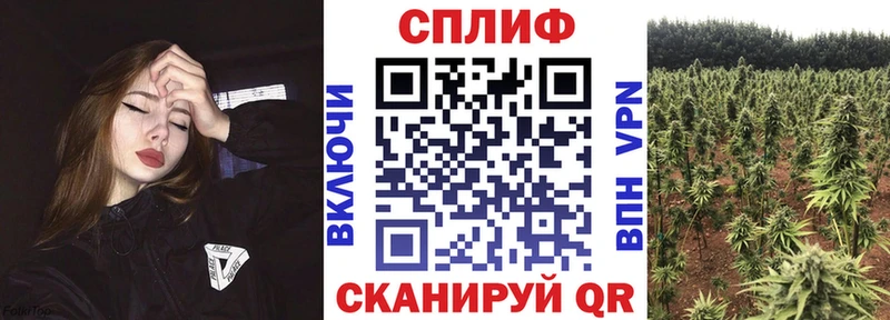 Марихуана ГИДРОПОН  где продают наркотики  Чаплыгин 